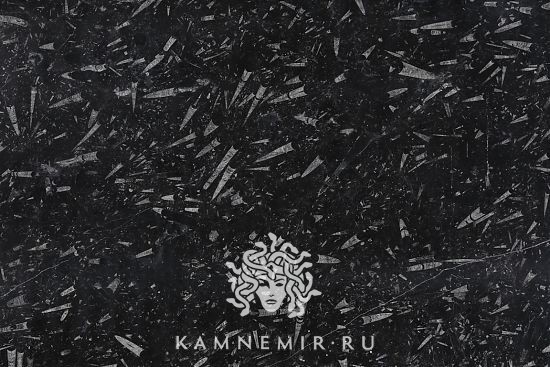 Black Fossil - фото 1