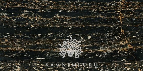 Black and Gold / Nero Portoro - фото 1