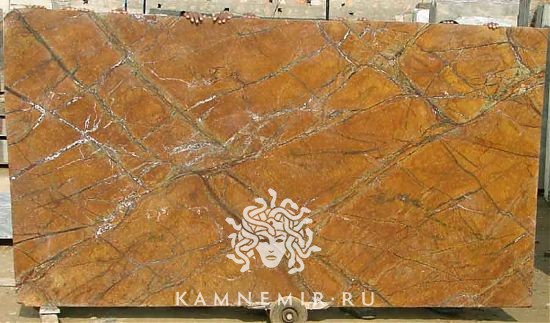 Bidasar Brown / Rainforest Brown - фото 2