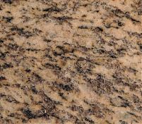 Фрагмент текстуры Tiger Skin Yellow